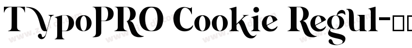 TypoPRO Cookie Regul字体转换